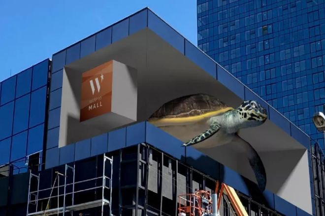 En la imagen una tortuga gigante en 3D engaña con el realismo total de las pantallas led 8k